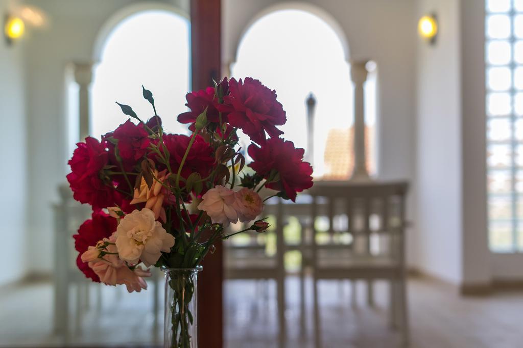 Villa Alma Veli Lošinj Buitenkant foto